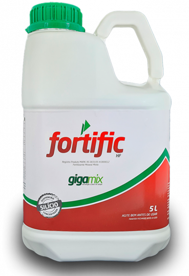 Fortific-Site-cópia.png