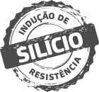 contem_silicio.png